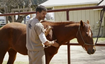 Кадр из сериала Уокер 1 сезон